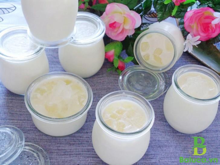 cách làm sữa chua